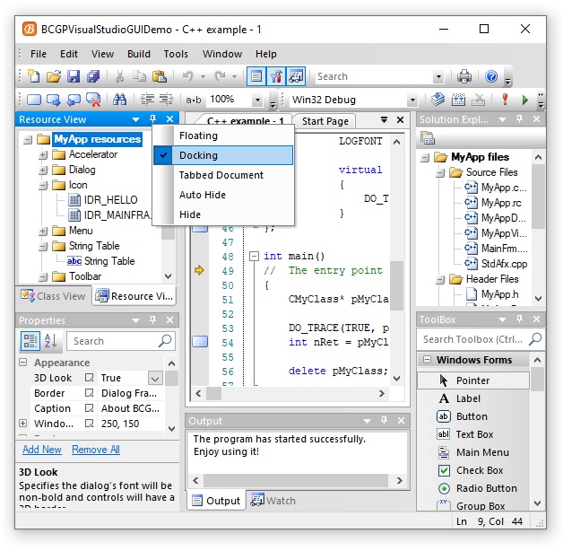 Visual Studio 2005 look:
